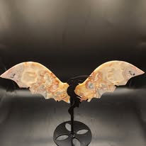 Dragon Wings
