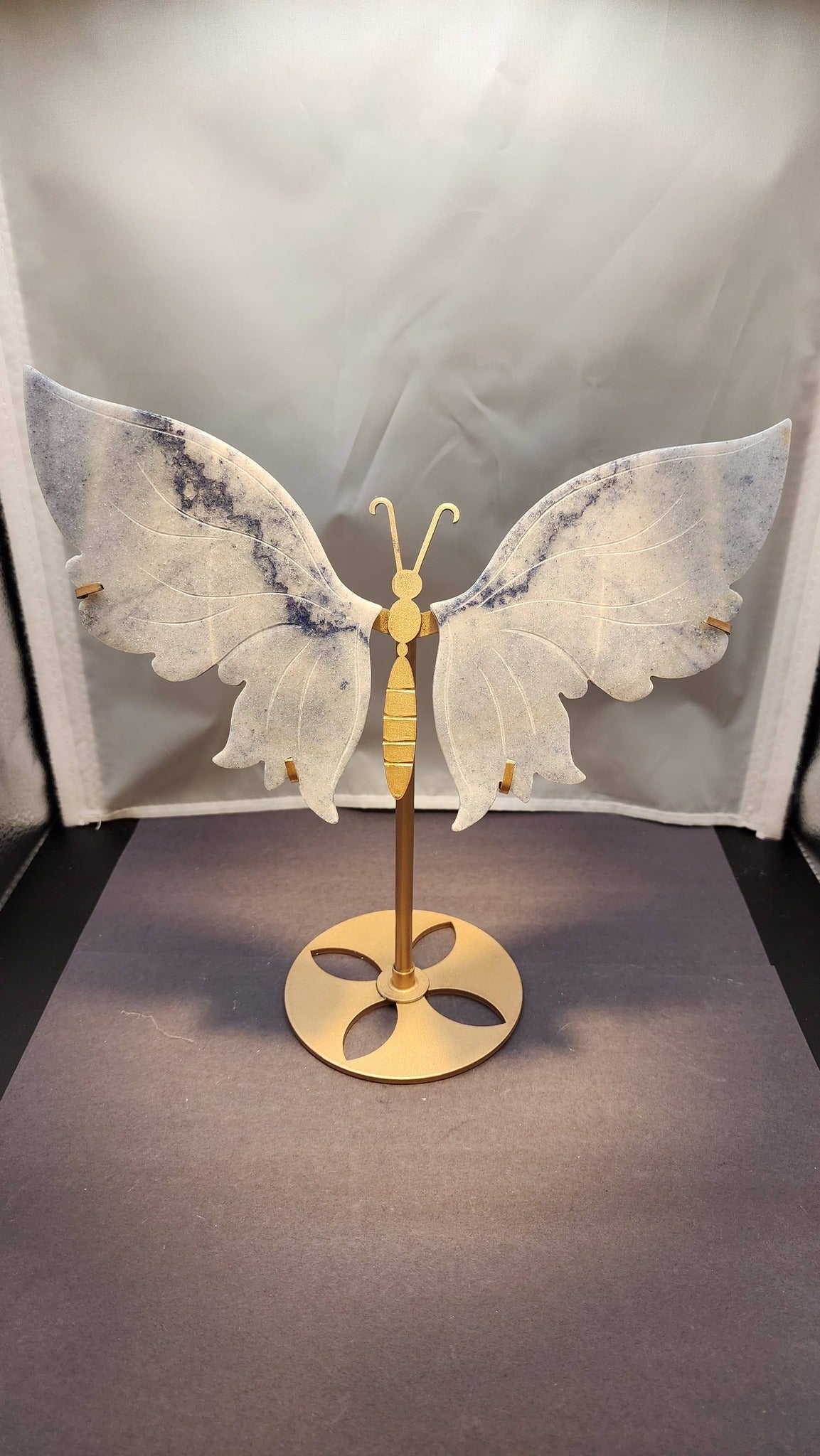 Butterfly Wings