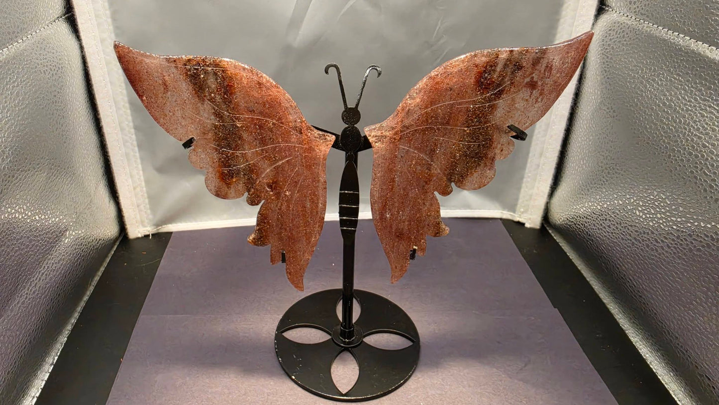 Butterfly Wings