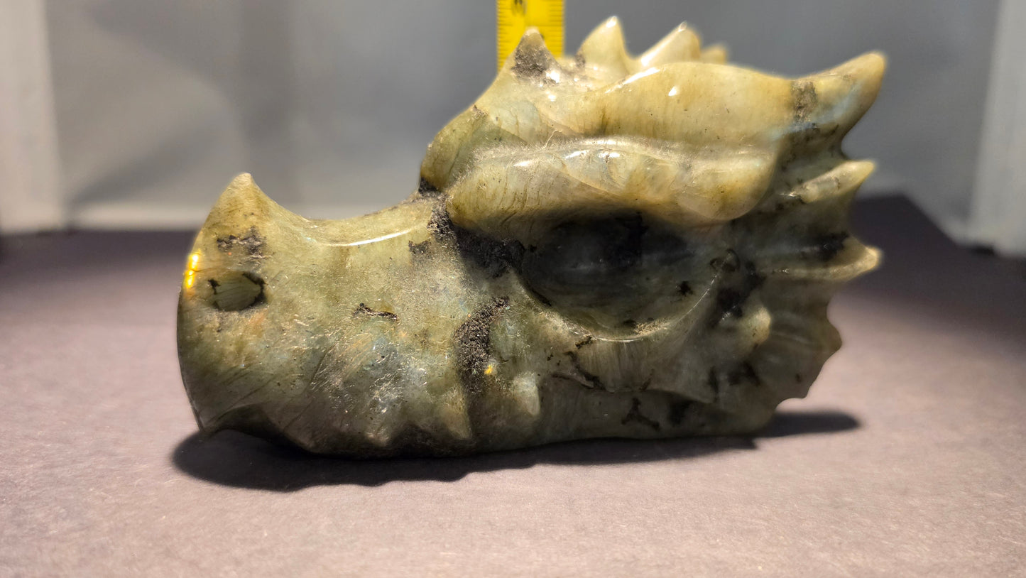 Dragon Skull Carvings