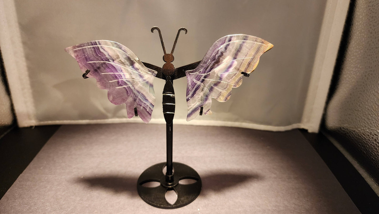 Butterfly Wings