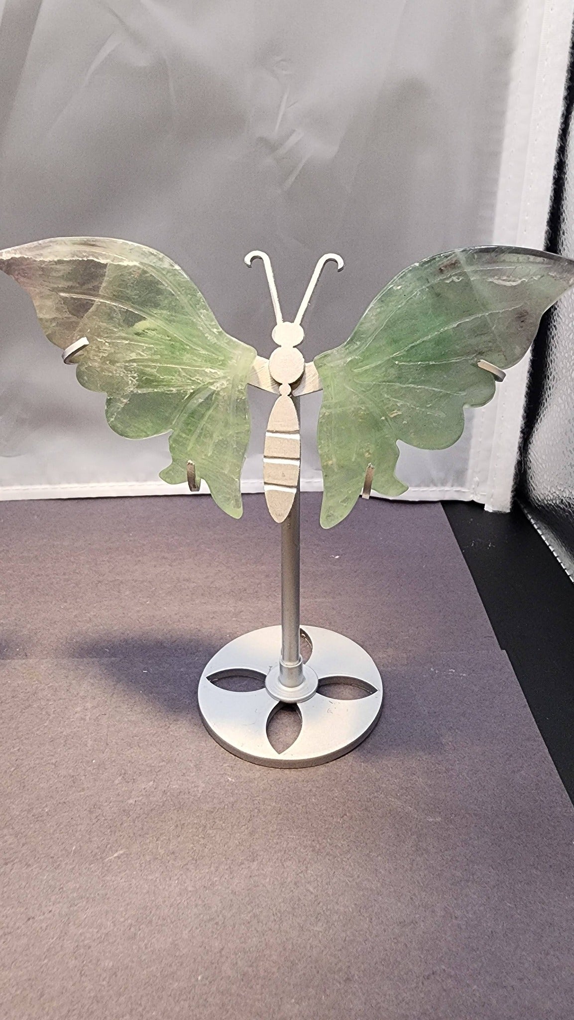 Butterfly Wings