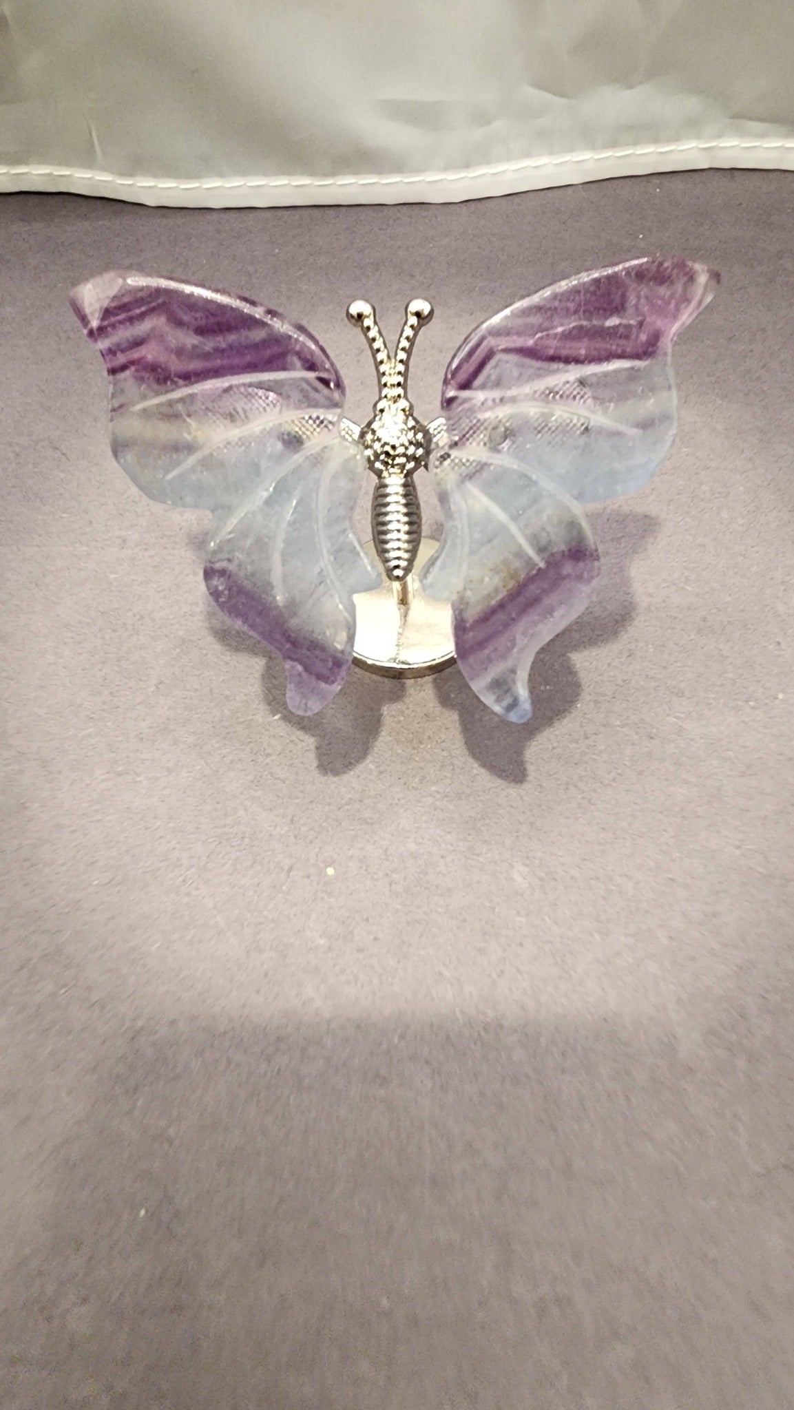 Butterfly Wings