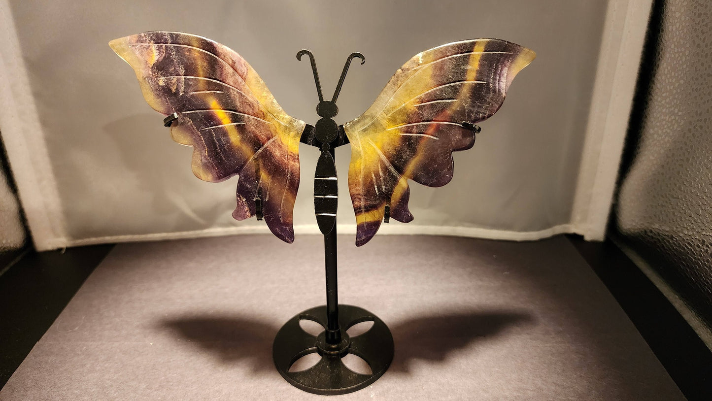 Butterfly Wings