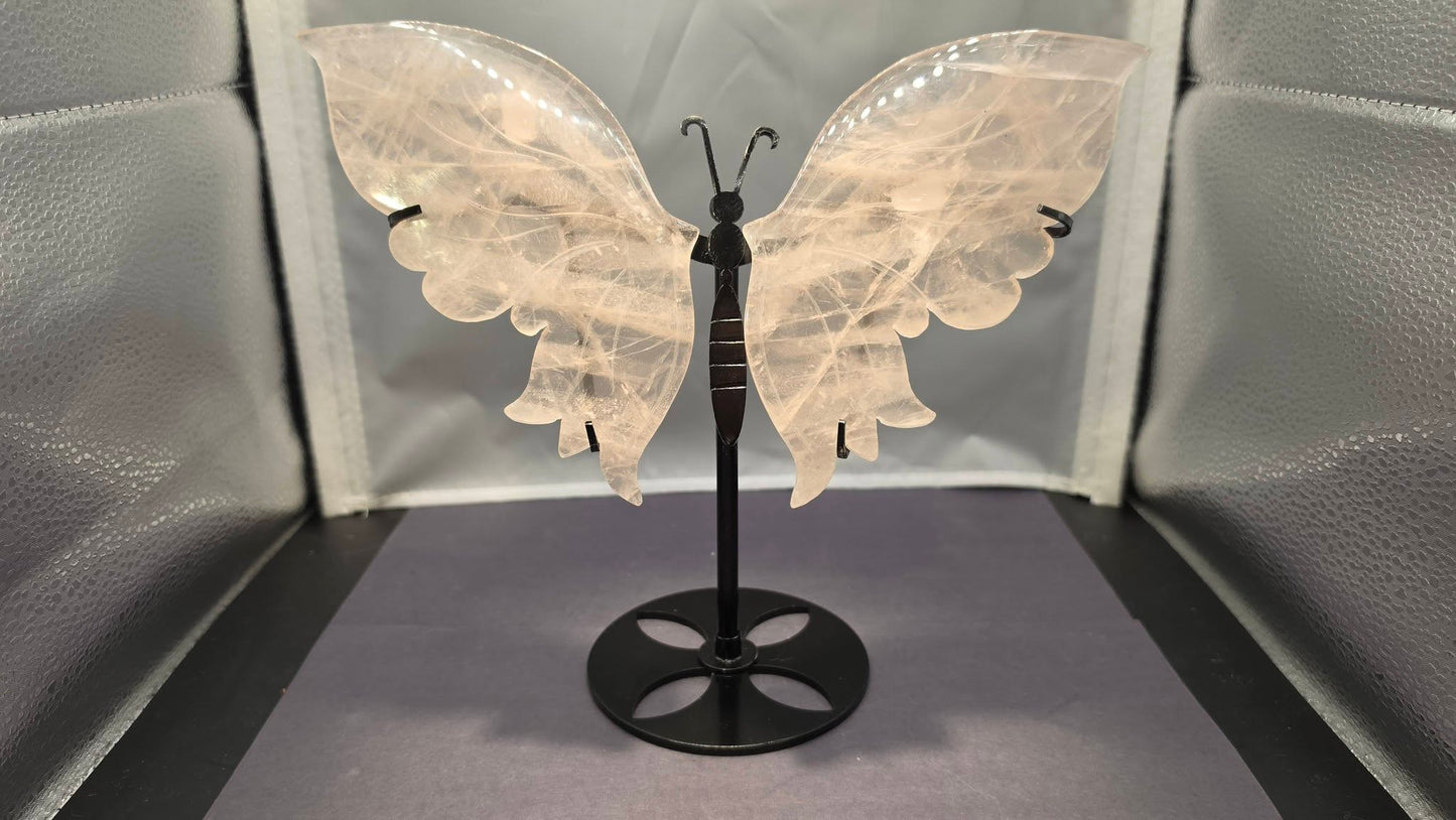 Butterfly Wings