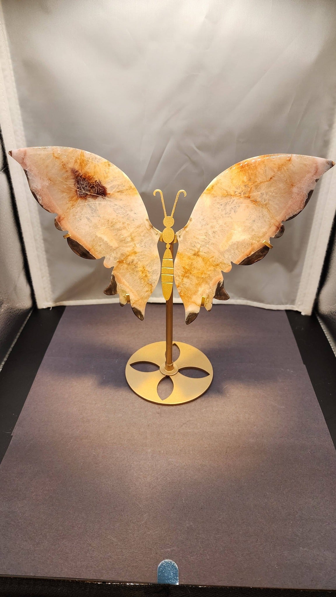 Butterfly Wings